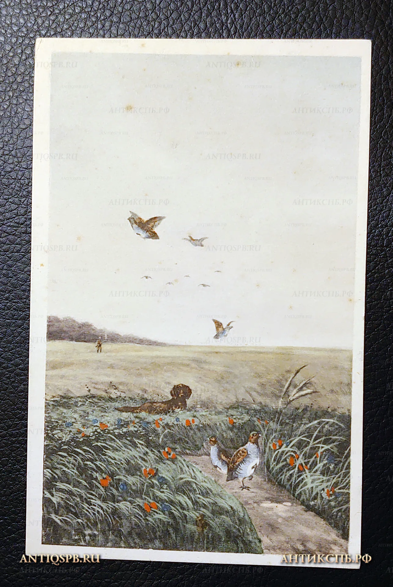 Открытка старинная "Охота на куропаток". H. Christ, Vienne. Printed in Austria. Нач. ХХ века. №7406